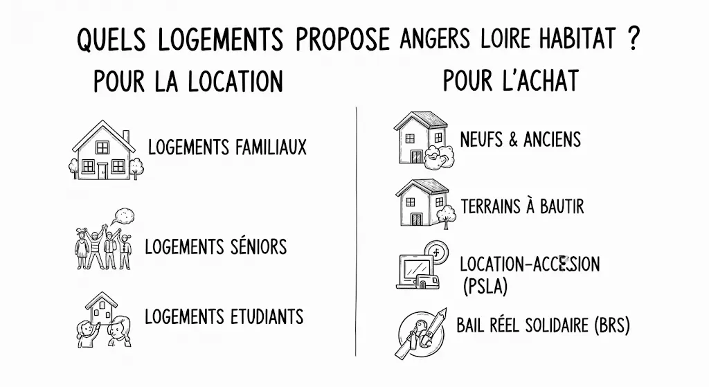 Cette infographie, dessinée à la main, présente les solutions de logement d'Angers Loire Habitat.
Elle est divisée en deux catégories : "Pour la location" listant les options familiales, seniors et étudiantes, et "Pour l'achat" montrant les possibilités d'acquérir un bien neuf, ancien ou un terrain.