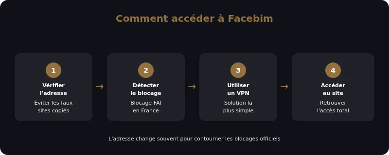 Infographie facebim